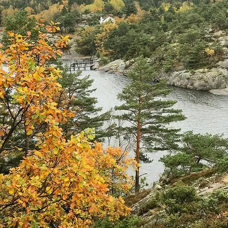 Unique By The Water On *